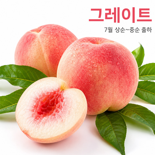 그레이트 조생종