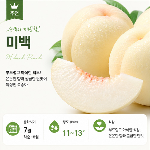 미백 조생종 - 백도 계열 인기 품종