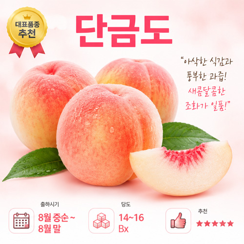 단금도 성수기 - 황도 대표품종