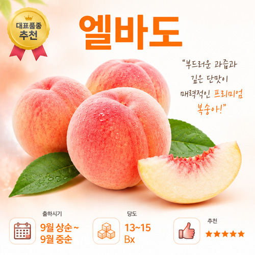 엘바도 만생종 - 황도 최고 인기	선물용