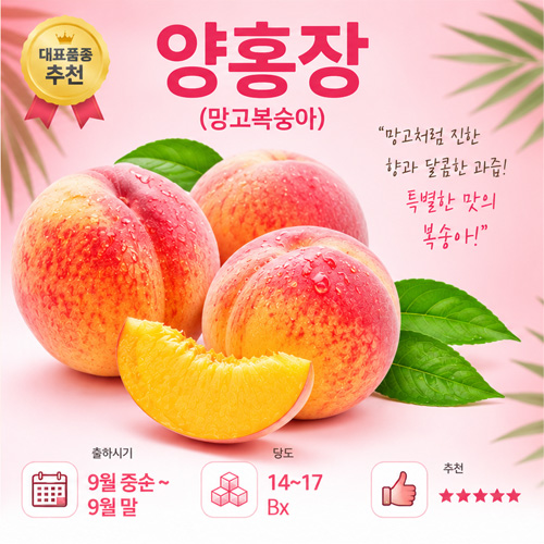 양홍장 만생종 - 망고 향이 남 프리미엄