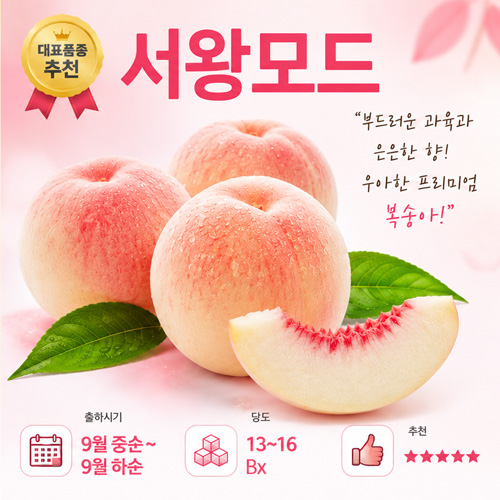 서왕모드 만생종 - 초대과 생산 고급 선물