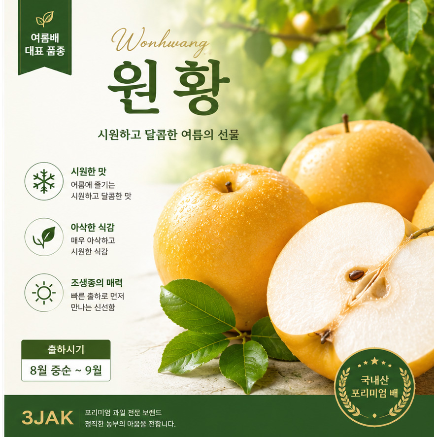 원황 - 달콤하고 시원함 매우 아삭
